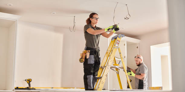 Best Electric Panel Repair  in Lakeview, CA