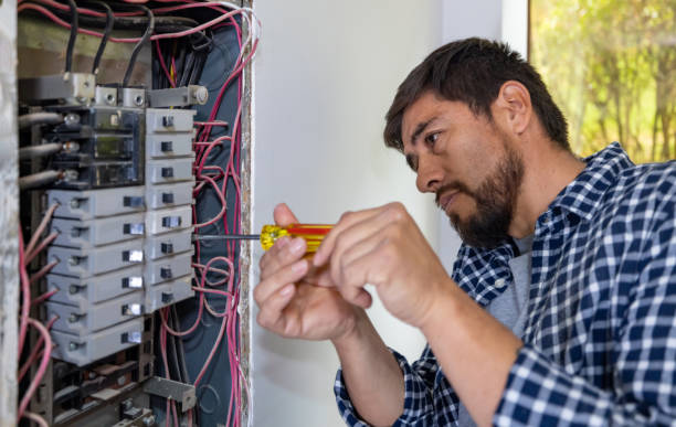 Best Ceiling Fan Installation Electrician  in Lakeview, CA